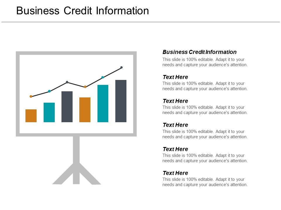 Business_Credit_Information_Ppt_PowerPoint_Presentation_Layouts_Guidelines_Cpb_Slide_1.jpg