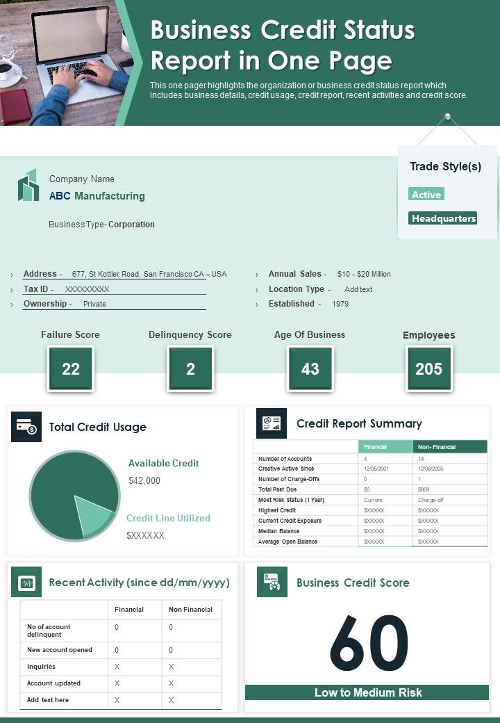 Business Credit Status Report In One Page PDF Document PPT Template Slide01