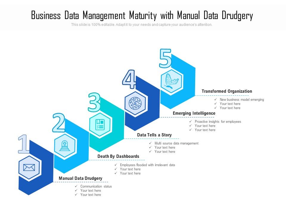 Business_Data_Management_Maturity_With_Manual_Data_Drudgery_Ppt_PowerPoint_Presentation_Gallery_Example_Introduction_PDF_Slide_1.jpg