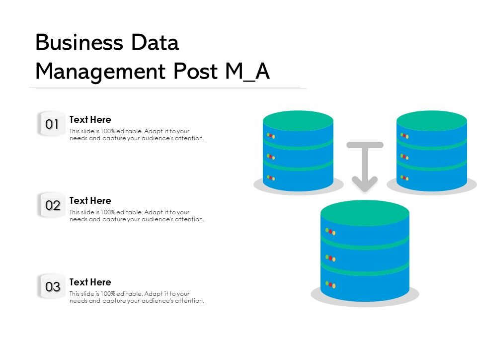 Business_Data_Management_Post_M_A_Ppt_PowerPoint_Presentation_Gallery_Visuals_PDF_Slide_1.jpg