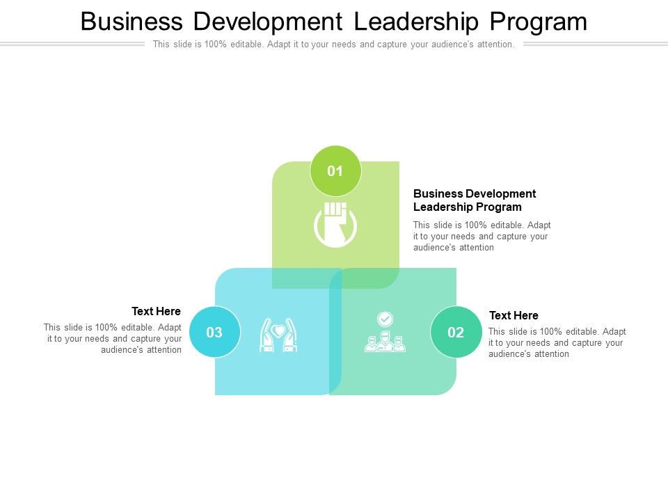 Business_Development_Leadership_Program_Ppt_PowerPoint_Presentation_Layouts_Objects_Cpb_Pdf_Slide_1.jpg