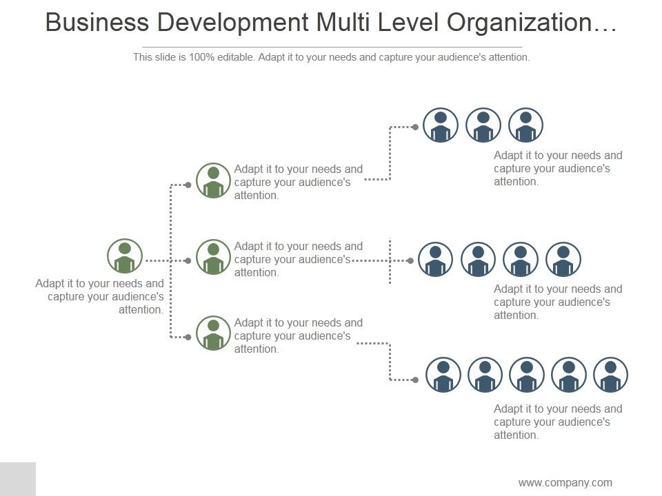 Business_Development_Multi_Level_Organization_Hierarchy_Ppt_PowerPoint_Presentation_Pictures_Slide_1.jpg