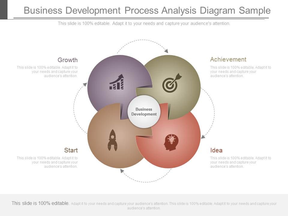 Business_Development_Process_Analysis_Diagram_Sample_1.jpg