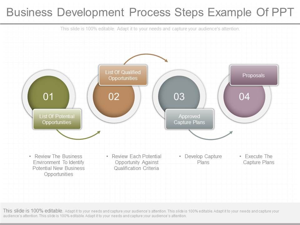 Business_Development_Process_Steps_Example_Of_Ppt_1.jpg