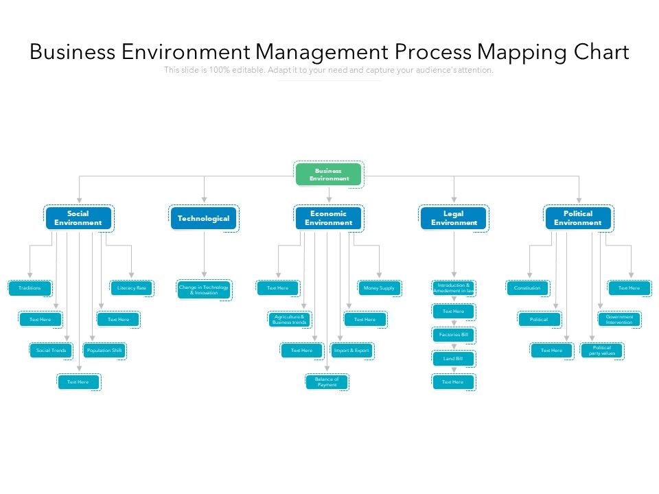Business_Environment_Management_Process_Mapping_Chart_Ppt_PowerPoint_Presentation_Gallery_Slideshow_PDF_Slide_1.jpg