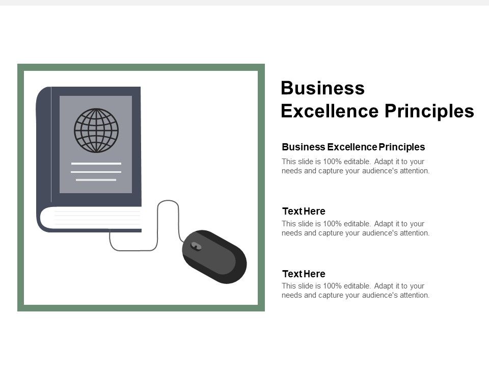 Business_Excellence_Principles_Ppt_PowerPoint_Presentation_Inspiration_Professional_Cpb_Slide_1.jpg