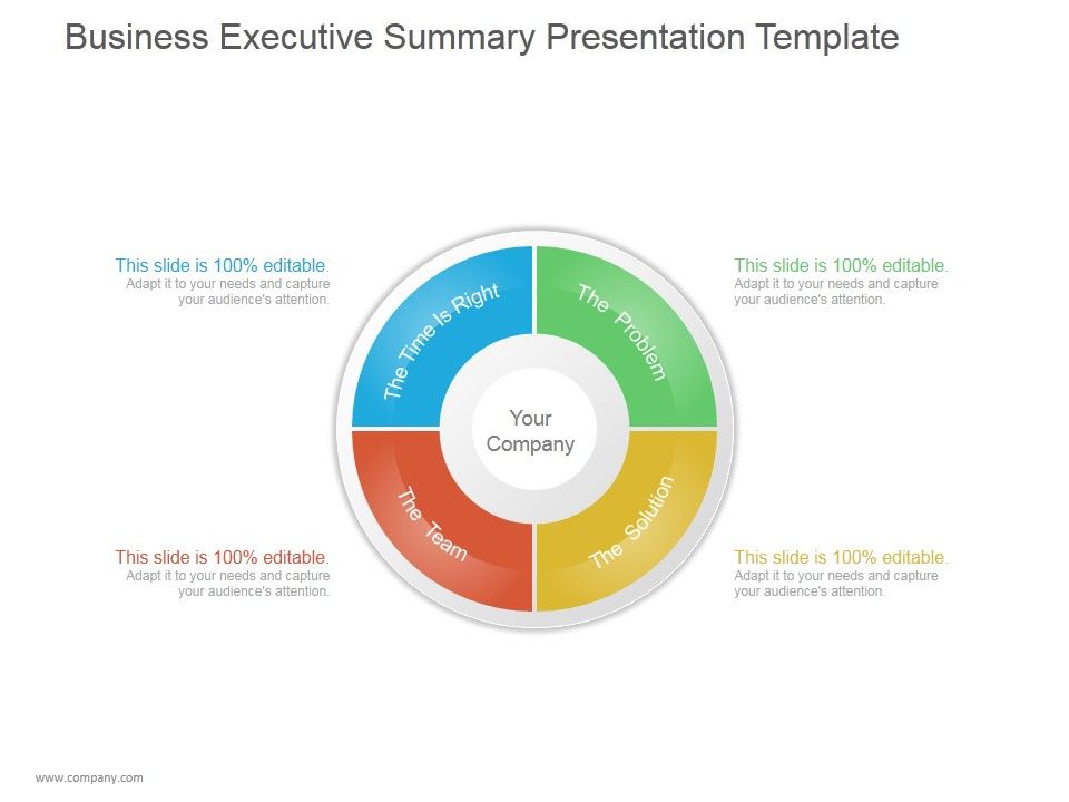 Business_Executive_Summary_Ppt_PowerPoint_Presentation_Ideas_Slide_1.jpg