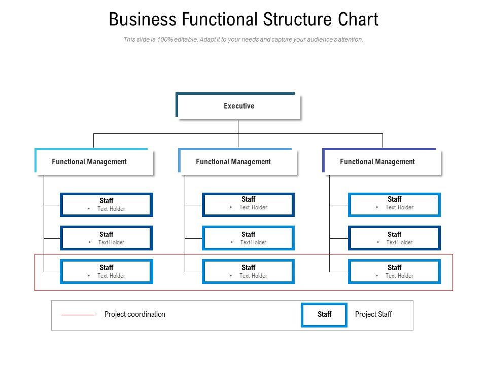 Business_Functional_Structure_Chart_Ppt_PowerPoint_Presentation_File_Rules_PDF_Slide_1.jpg