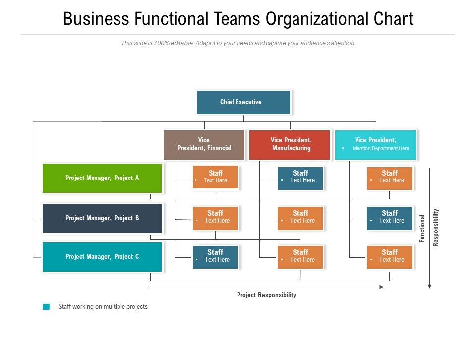 Business_Functional_Teams_Organizational_Chart_Ppt_PowerPoint_Presentation_Gallery_Objects_PDF_Slide_1.jpg