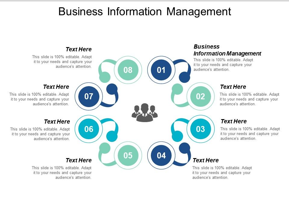 Business_Information_Management_Ppt_PowerPoint_Presentation_File_Graphics_Example_Cpb_Slide_1.jpg