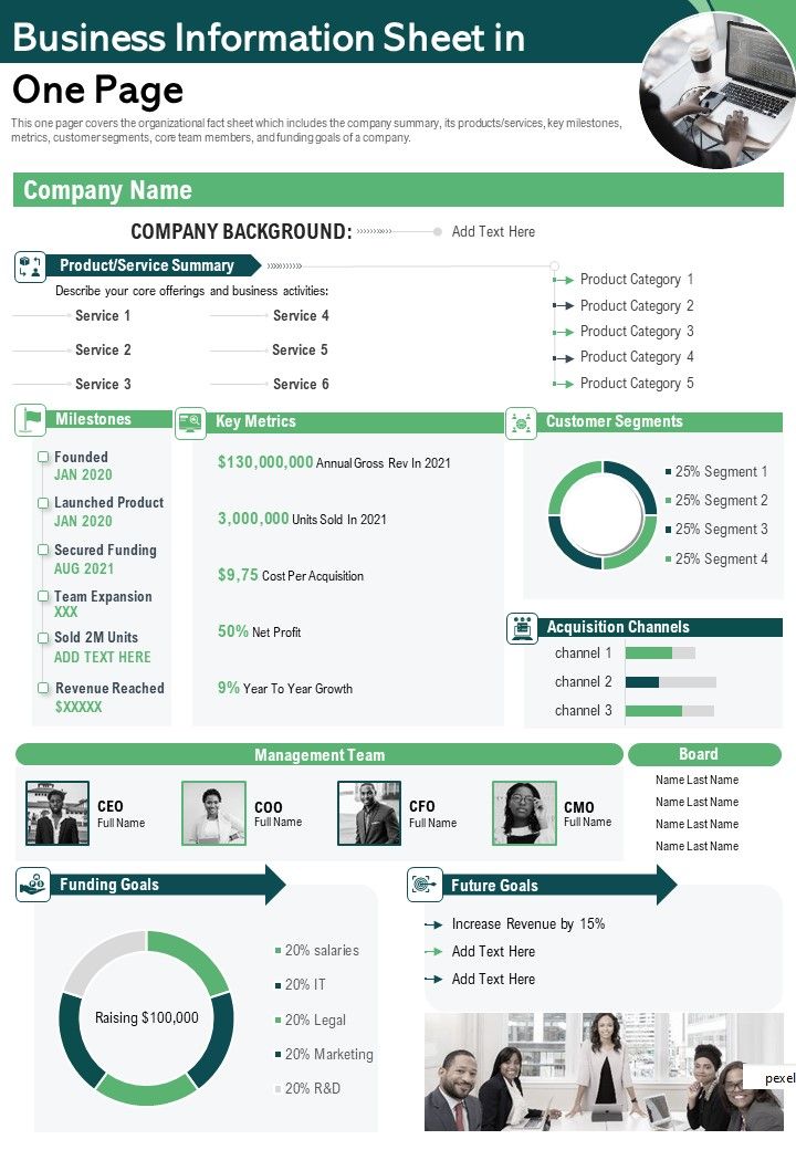 Business Information Sheet In One Page PDF Document PPT Template Slide01
