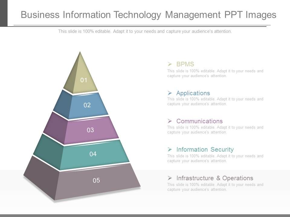 Business_Information_Technology_Management_Ppt_Images_1.jpg