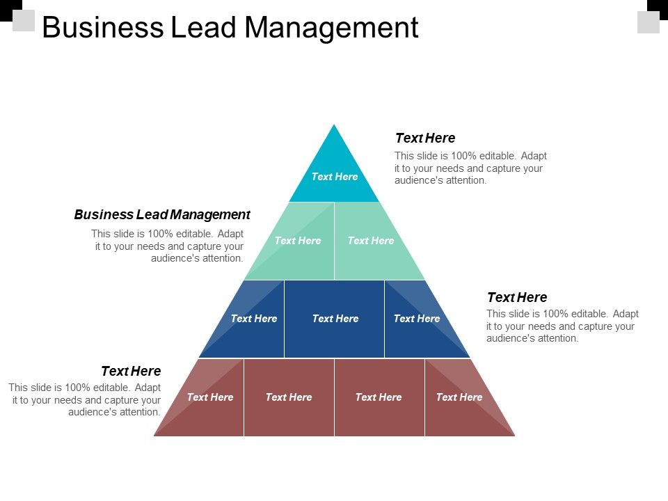 Business_Lead_Management_Ppt_PowerPoint_Presentation_Pictures_File_Formats_Slide_1.jpg