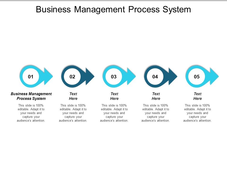 Business_Management_Process_System_Ppt_PowerPoint_Presentation_Portfolio_Outfit_Cpb_Slide_1.jpg