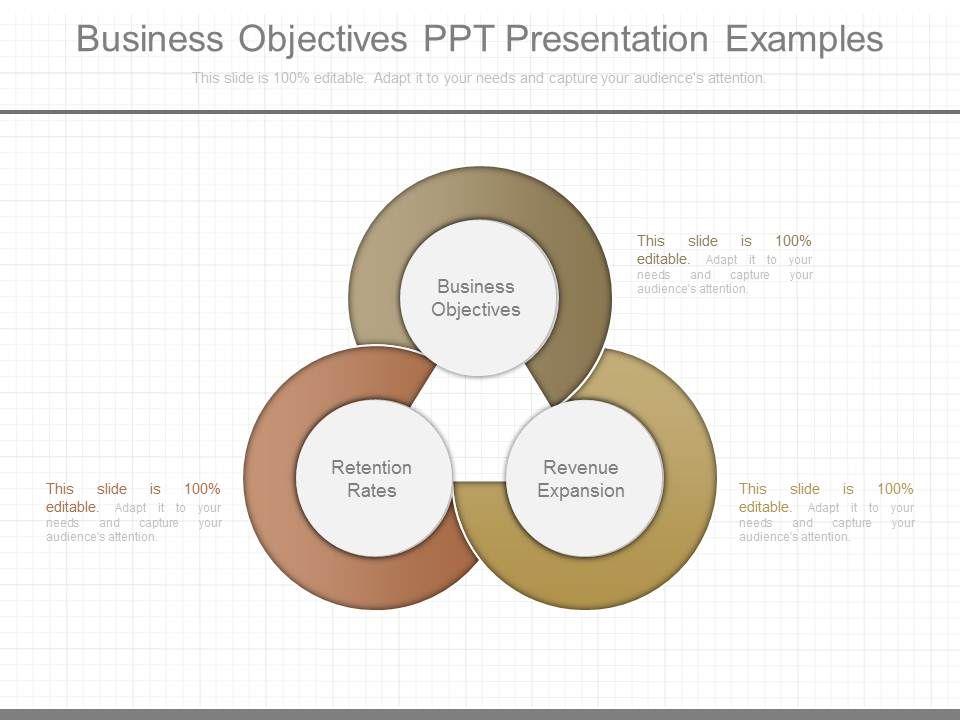 Business_Objectives_Ppt_Presentation_Examples_1.jpg