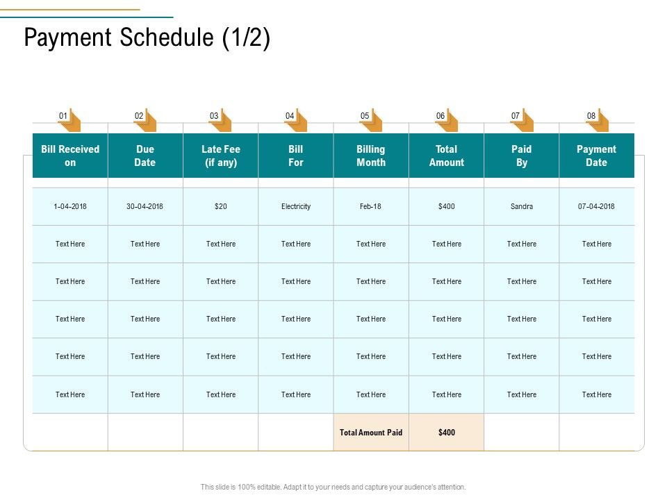 Business_Operations_Assessment_Payment_Schedule_Ppt_Gallery_Format_Ideas_PDF_Slide_1.jpg