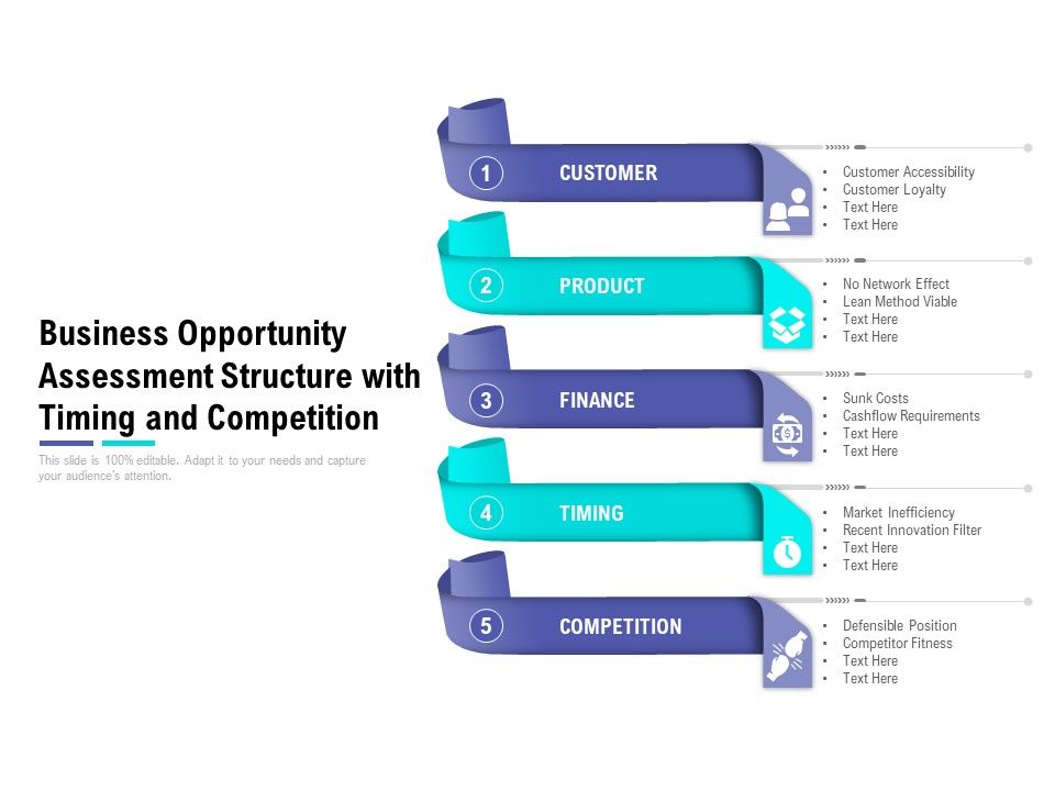 Business_Opportunity_Assessment_Structure_With_Timing_And_Competition_Ppt_PowerPoint_Presentation_Outline_Skills_Slide_1.jpg