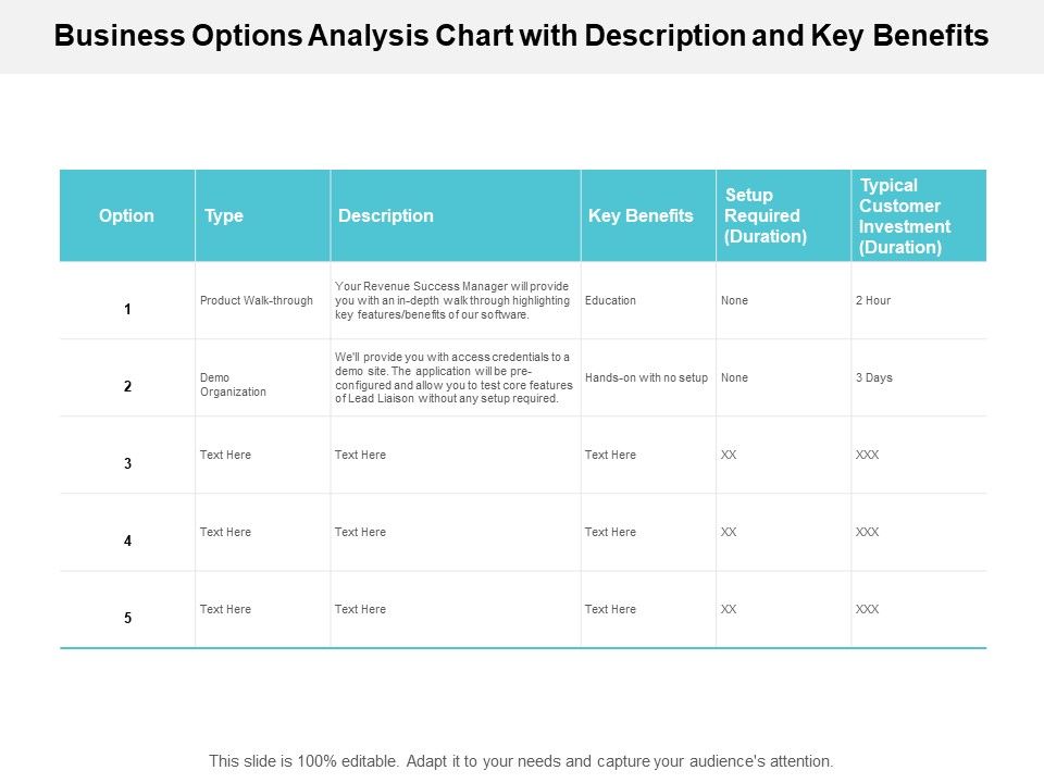Business_Options_Analysis_Chart_With_Description_And_Key_Benefits_Ppt_PowerPoint_Presentation_Outline_Elements_Slide_1.jpg