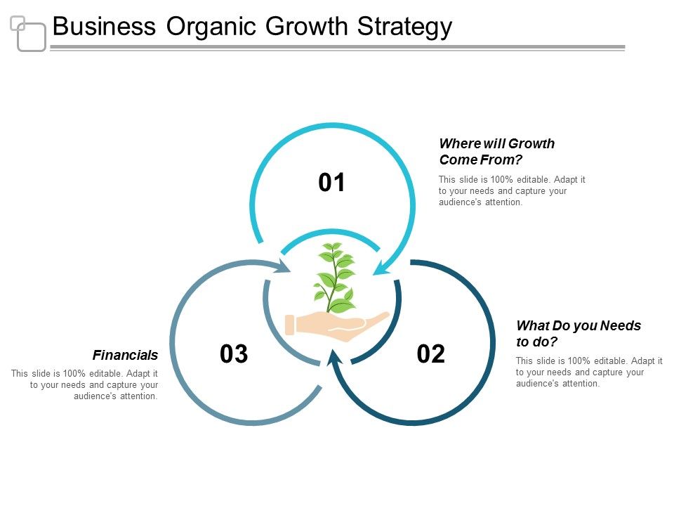 Business_Organic_Growth_Strategy_Ppt_PowerPoint_Presentation_Portfolio_Gallery_Slide_1.jpg