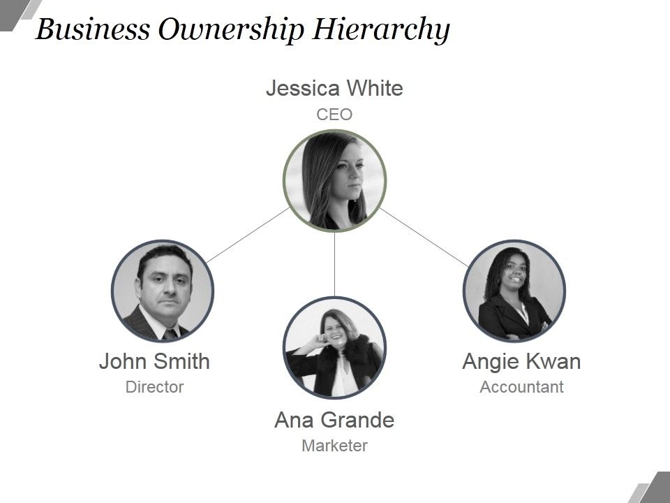 Business_Ownership_Hierarchy_Ppt_PowerPoint_Presentation_Example_File_Slide_1.jpg