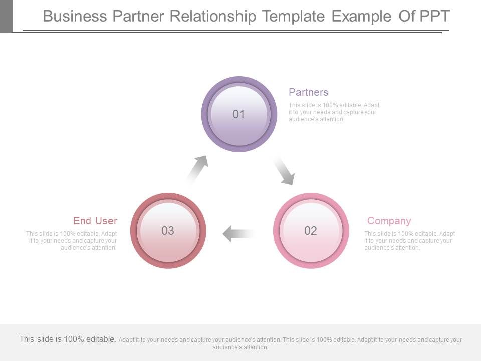 Business_Partner_Relationship_Template_Example_Of_Ppt_1.jpg