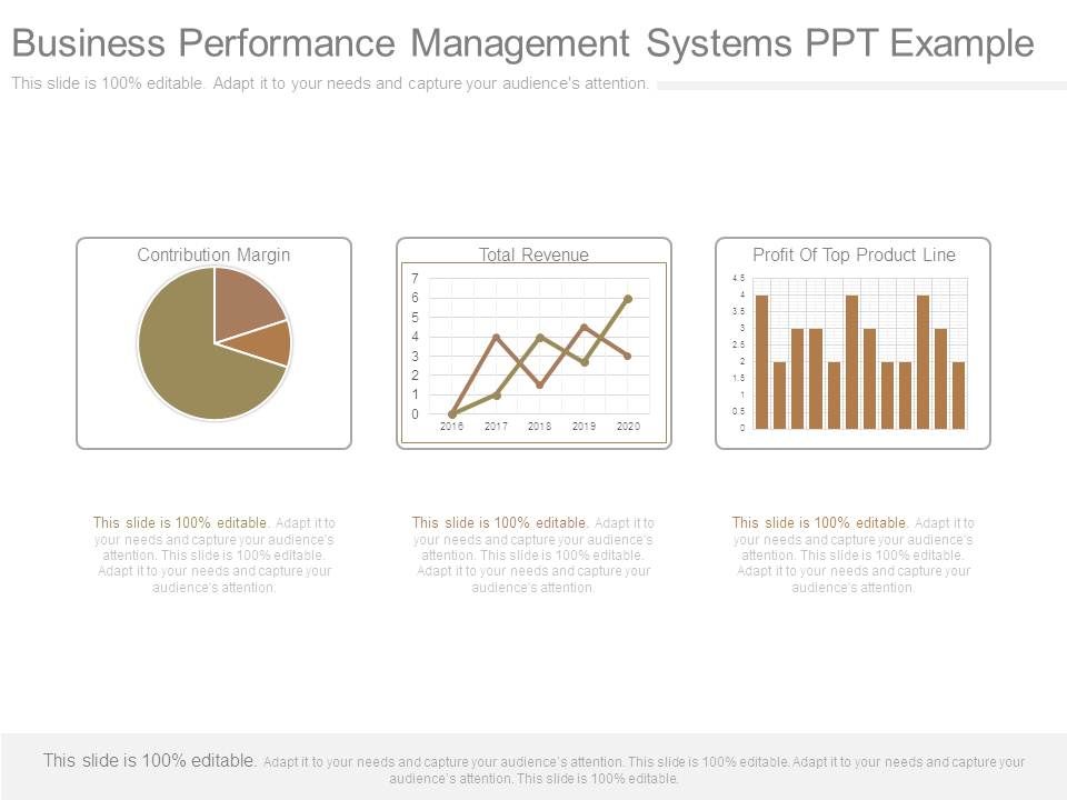 Business_Performance_Management_Systems_Ppt_Example_1.jpg