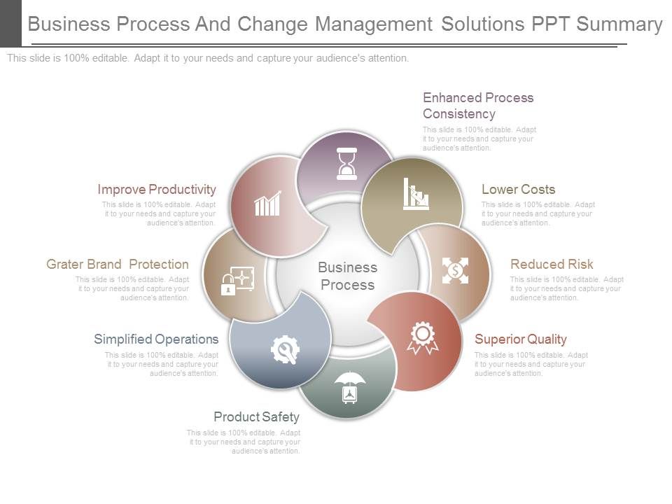Business_Process_And_Change_Management_Solutions_Ppt_Summary_1.jpg