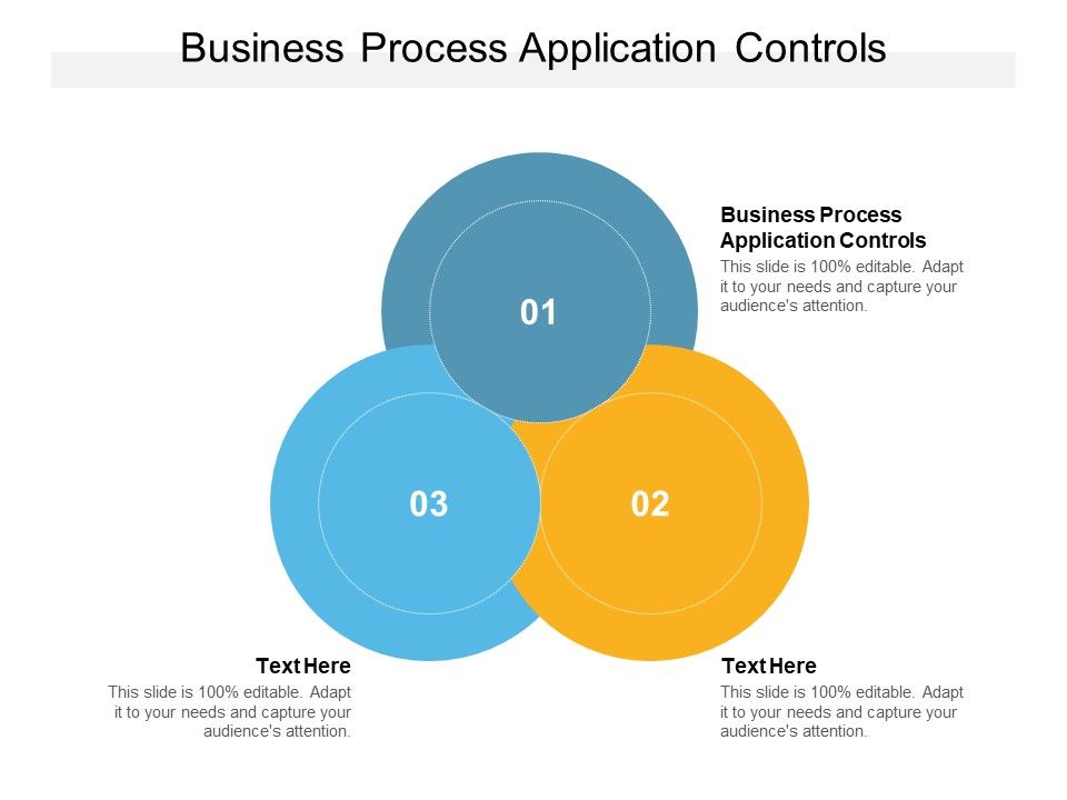 Business_Process_Application_Controls_Ppt_PowerPoint_Presentation_File_Guidelines_Cpb_Slide_1.jpg