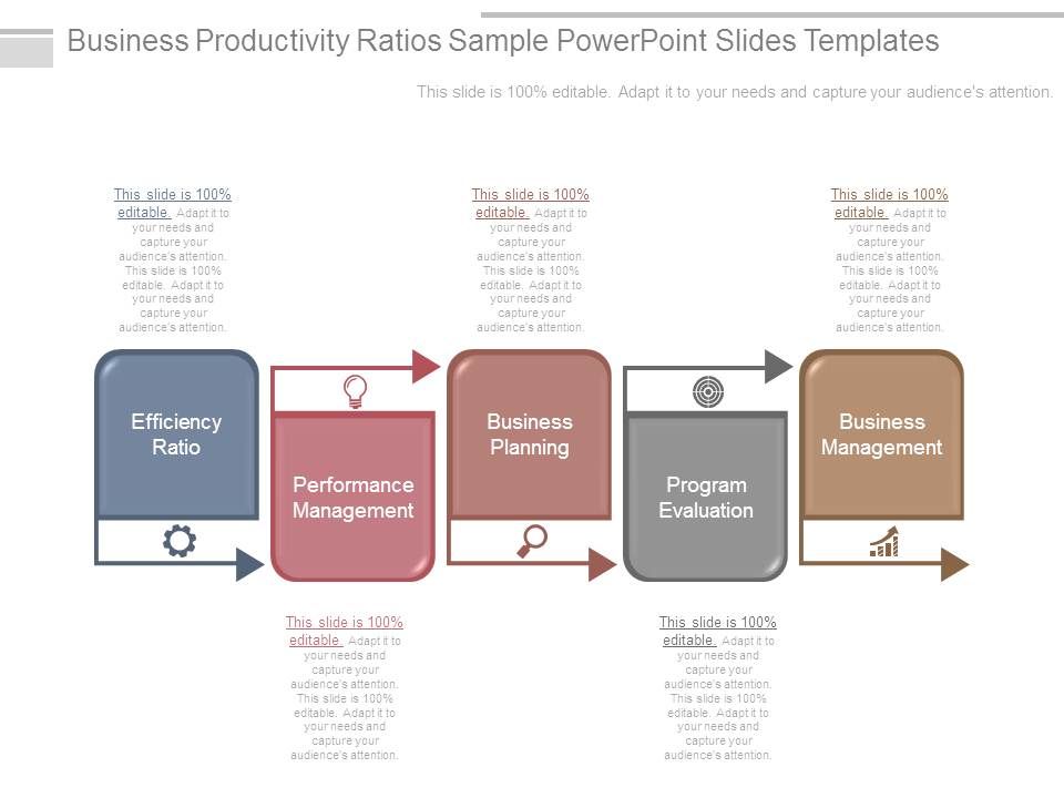 Business_Productivity_Ratios_Sample_Powerpoint_Slides_Templates_1.jpg