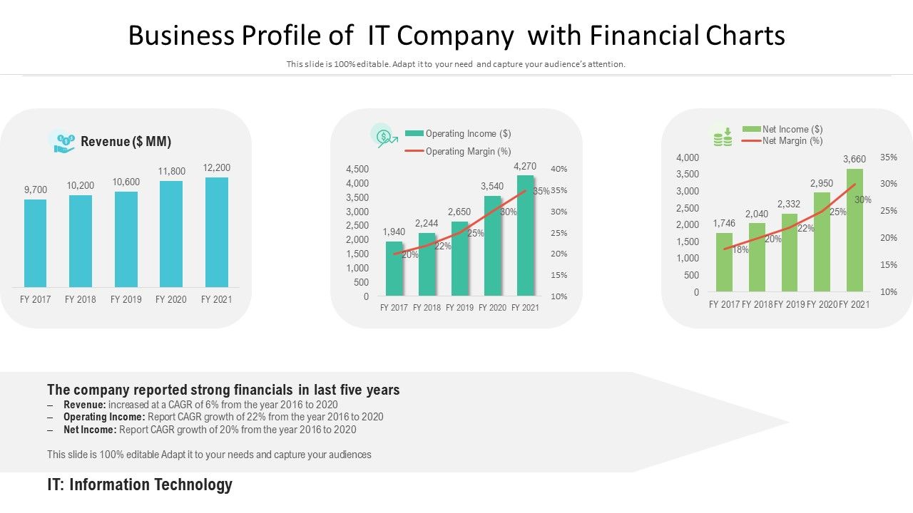Business_Profile_Of_It_Company_With_Financial_Charts_Ppt_PowerPoint_Presentation_Model_Ideas_PDF_Slide_1.jpg