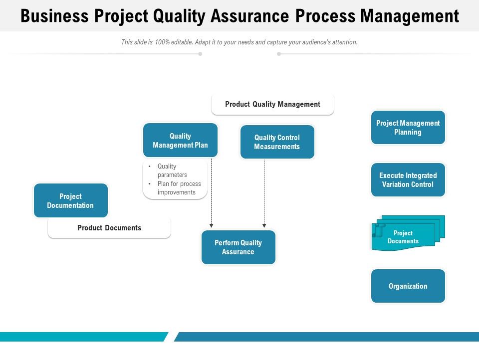 Business_Project_Quality_Assurance_Process_Management_Ppt_PowerPoint_Presentation_Infographics_Skills_PDF_Slide_1.jpg