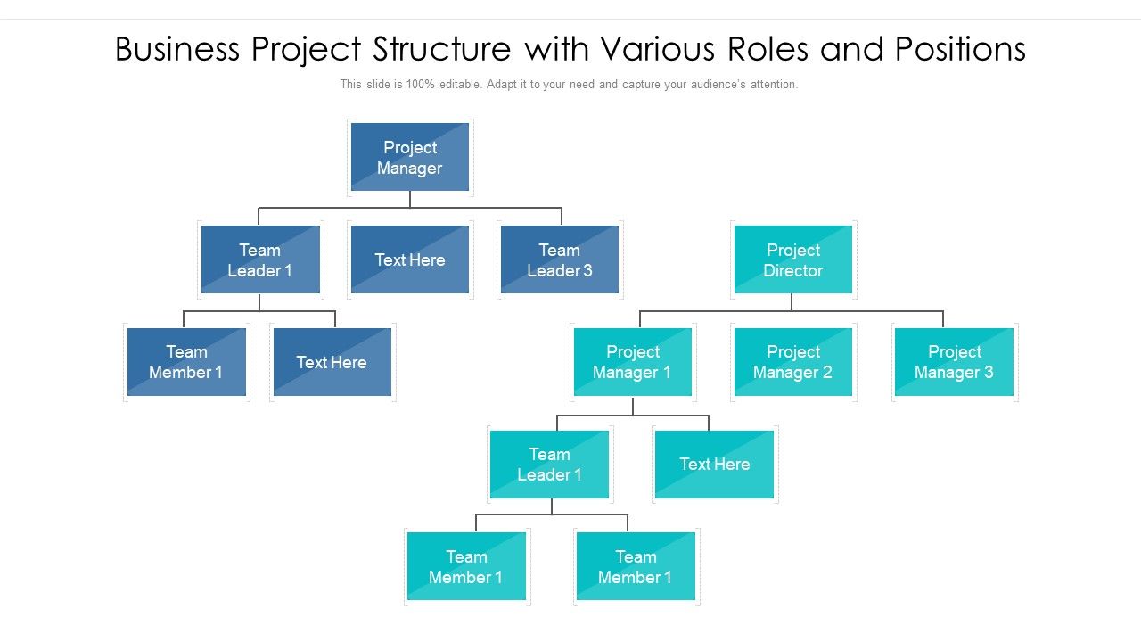 Business_Project_Structure_With_Various_Roles_And_Positions_Ppt_PowerPoint_Presentation_Layouts_Portfolio_PDF_Slide_1.jpg