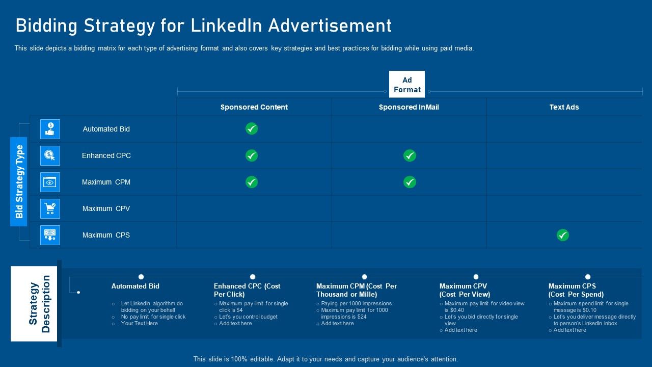 Business_Promotion_Using_Linkedin_Bidding_Strategy_For_Linkedin_Advertisement_Professional_PDF_Slide_1.jpg