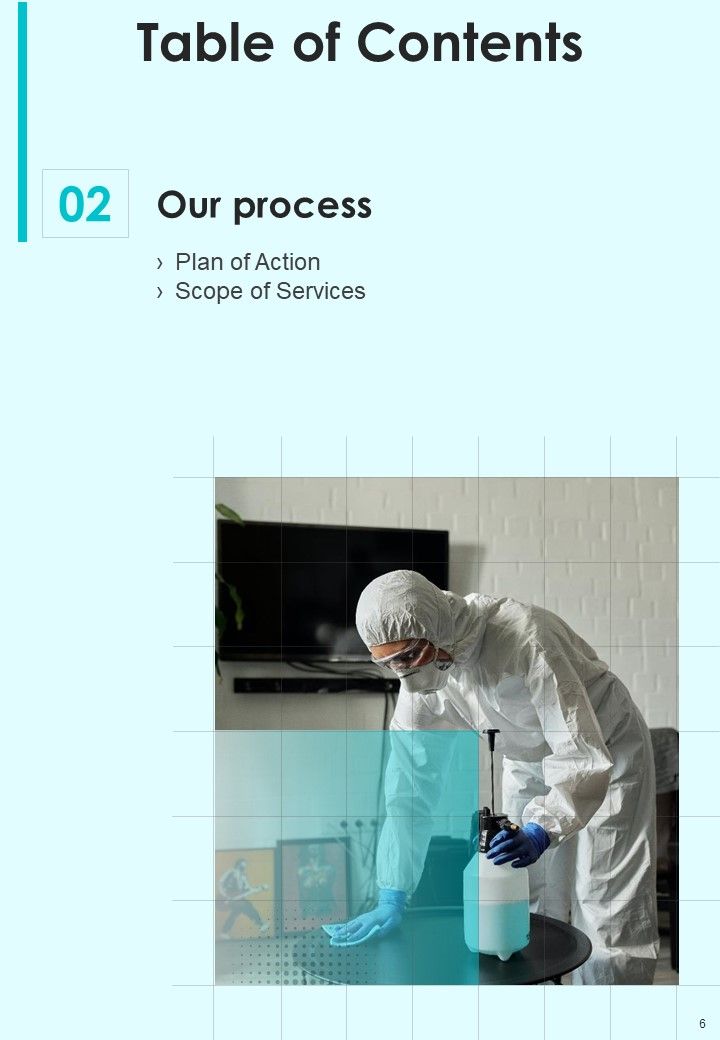 Business Proposal For House Cleaning Services Example Document Report Doc Pdf Ppt