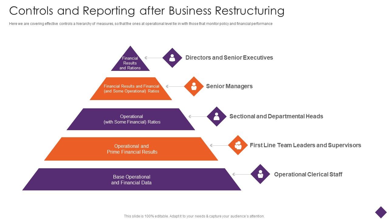 Business_Restructuring_Controls_And_Reporting_After_Business_Restructuring_Themes_PDF_Slide_1.jpg