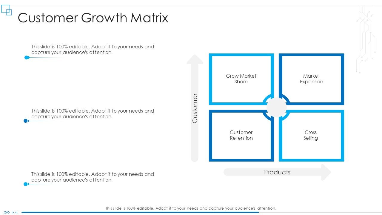 Business_Scheme_Management_Synopsis_Customer_Growth_Matrix_Rules_PDF_Slide_1.jpg