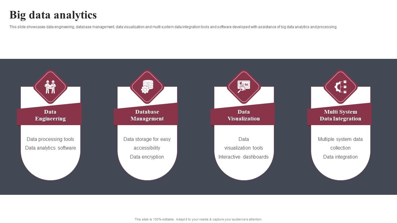 Business_Software_Development_Company_Profile_Big_Data_Analytics_Professional_PDF_Slide_1.jpg