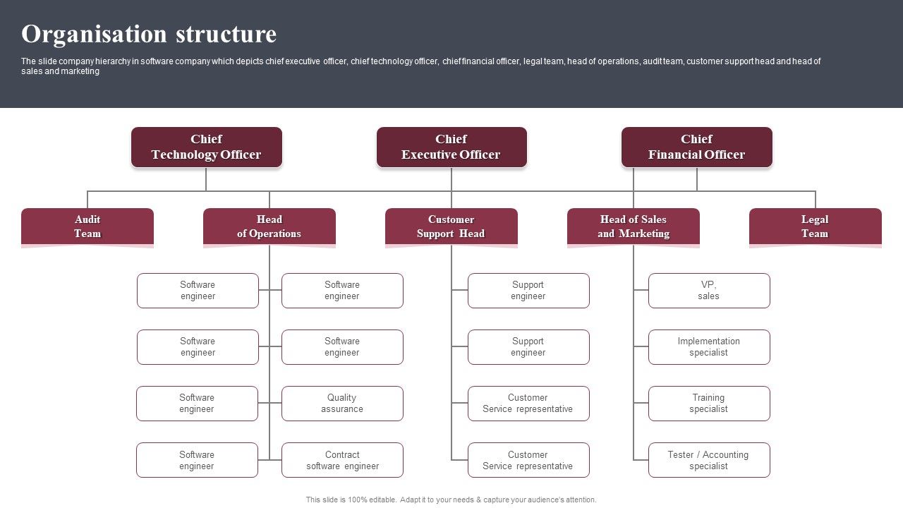 Business_Software_Development_Company_Profile_Organisation_Structure_Ideas_PDF_Slide_1.jpg