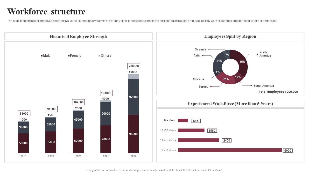 Business_Software_Development_Company_Profile_Workforce_Structure_Information_PDF_Slide_1.jpg
