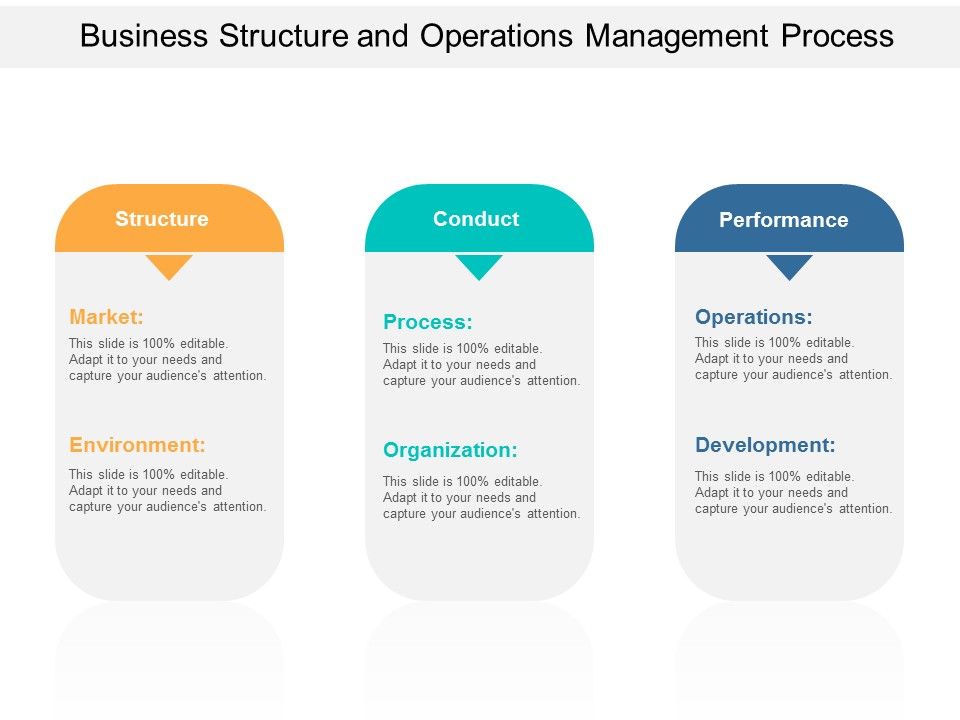 Business_Structure_And_Operations_Management_Process_Ppt_PowerPoint_Presentation_Layouts_Example_Introduction_Slide_1.jpg