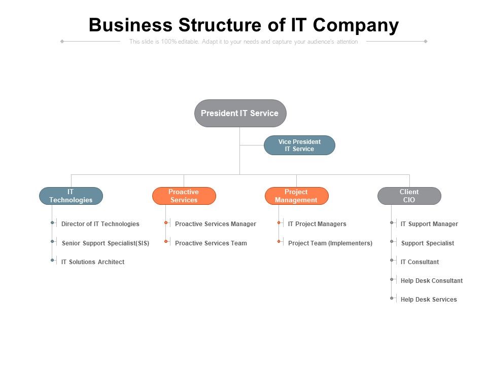 Business_Structure_Of_It_Company_Ppt_PowerPoint_Presentation_Gallery_Graphics_Template_Slide_1.jpg
