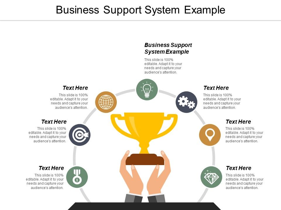 Business_Support_System_Example_Ppt_PowerPoint_Presentation_Layouts_Example_Introduction_Cpb_Slide_1.jpg