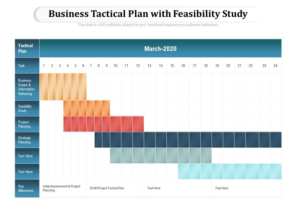 Business_Tactical_Plan_With_Feasibility_Study_Ppt_PowerPoint_Presentation_File_Picture_PDF_Slide_1.jpg