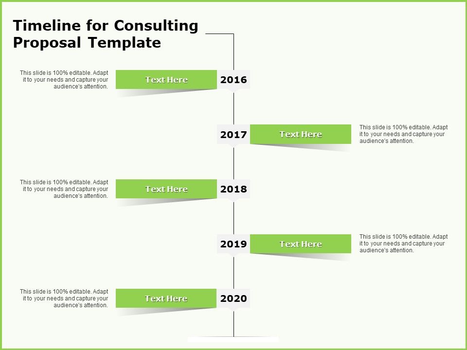 Business_Timeline_For_Consulting_Proposal_Template_Ppt_Infographic_Template_Clipart_PDF_Slide_1.jpg
