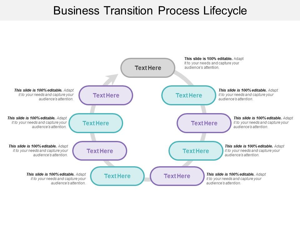 Business_Transition_Process_Lifecycle_Ppt_PowerPoint_Presentation_File_Professional_PDF_Slide_1.jpg