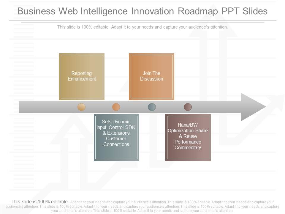 Business_Web_Intelligence_Innovation_Roadmap_Ppt_Slides_1.jpg
