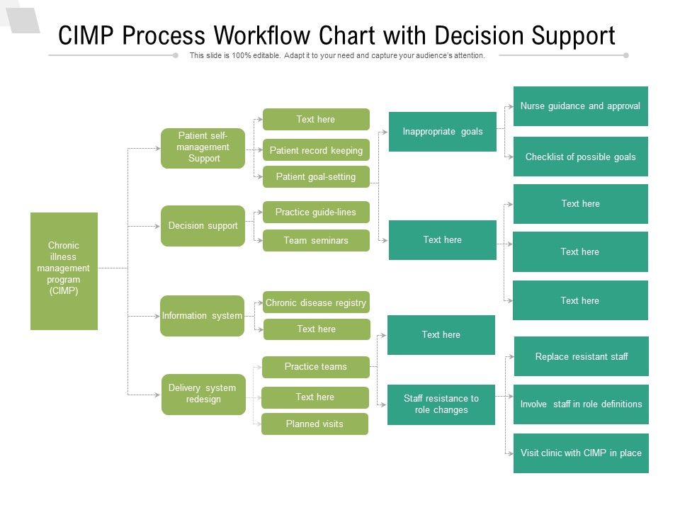 CIMP_Process_Workflow_Chart_With_Decision_Support_Ppt_PowerPoint_Presentation_File_Infographic_Template_PDF_Slide_1.jpg