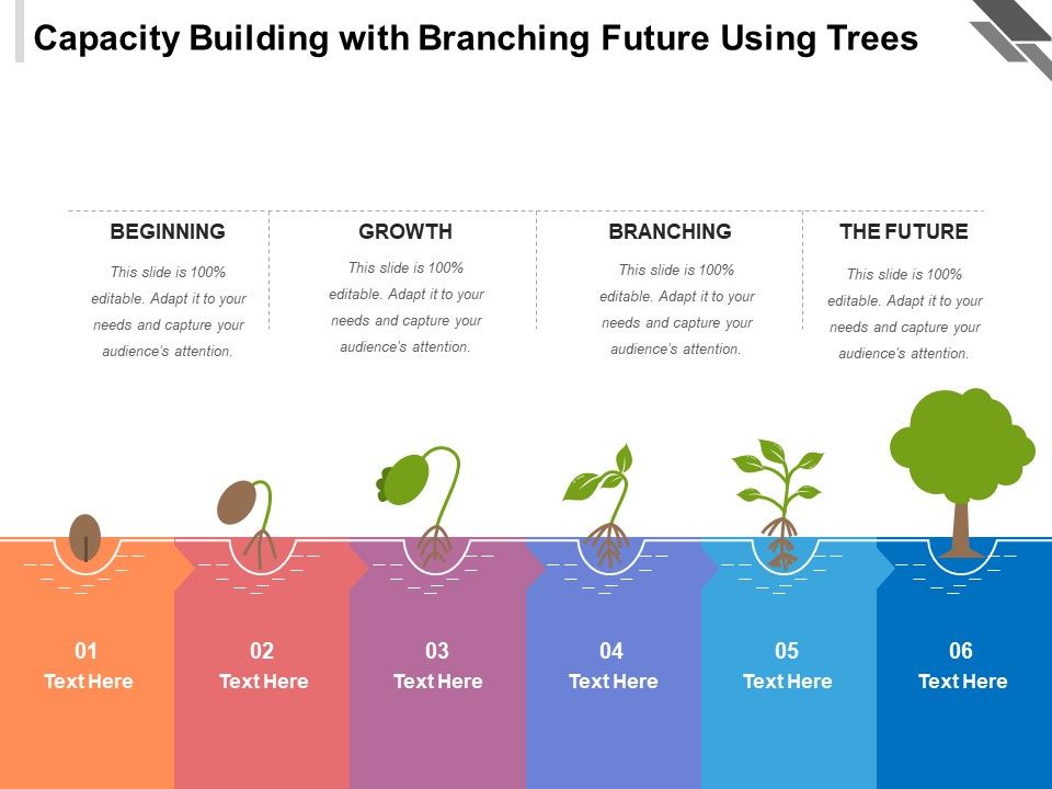 Capacity_Building_With_Branching_Future_Using_Trees_Ppt_PowerPoint_Presentation_Icon_Template_PDF_Slide_1.jpg