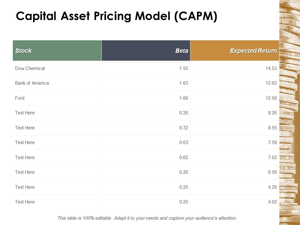 Capital_Asset_Pricing_Model_Capm_Ppt_PowerPoint_Presentation_Infographic_Template_Example_2015_Slide_1.jpg