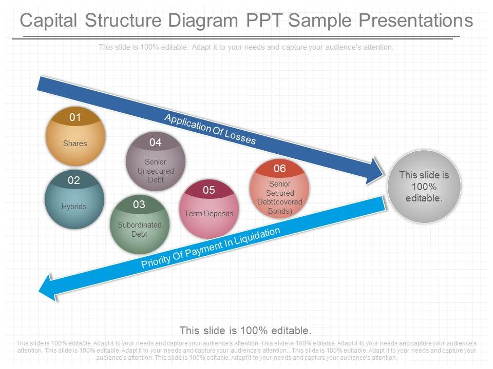 Capital_Structure_Diagram_Ppt_Sample_Presentations_1.jpg
